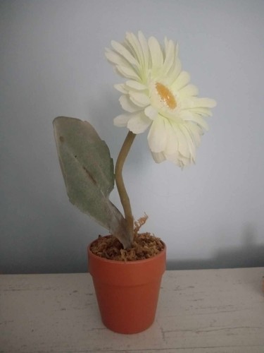 Vaso con piantina - , finta