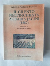 Angelo Raffaele Passaro, Il