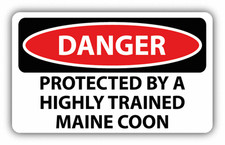 Adesivo decalcomania paraurti