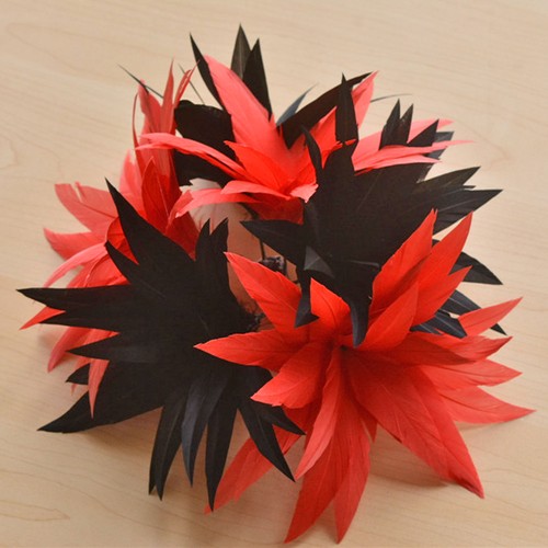 Colori piume fiore - fiore,
