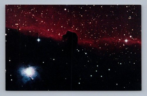 Nebulosa testa cavallo - testa, di