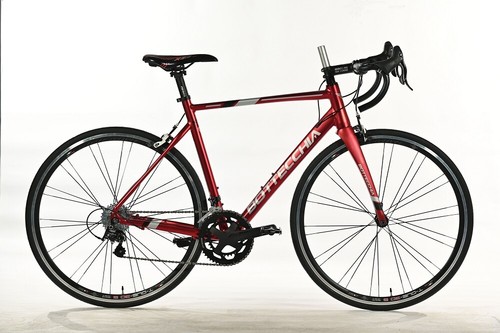 Bici bicicletta bottecchia - bici,