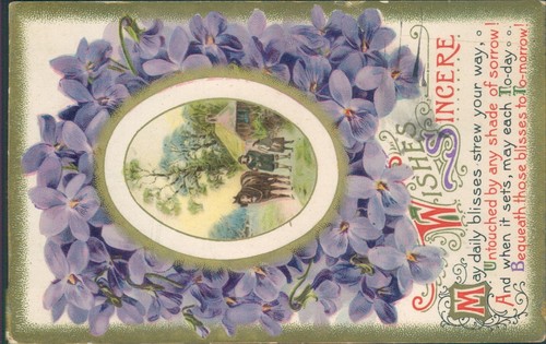 Sincere wishes horse - , cottage