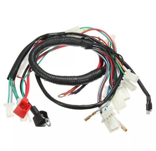 Impianto elettrico completo - elettrico,