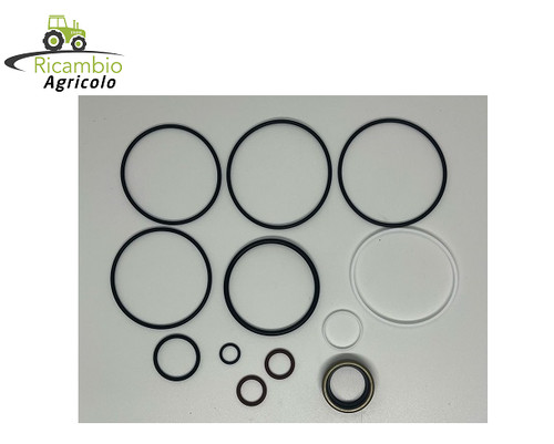 Kit guarnizioni pistone - guarnizioni,