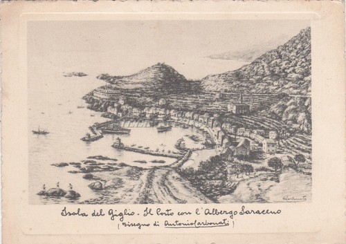 Isola del giglio - isola,
