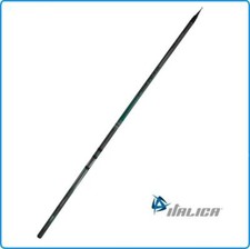 Canna italica bolognese - canna,