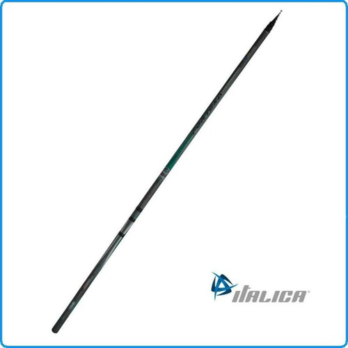 Canna italica bolognese - canna,