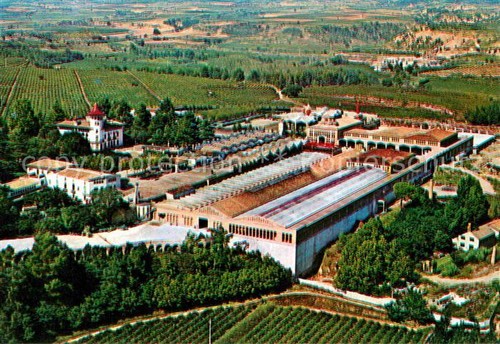 Cavas codorniu esternos - cavas,