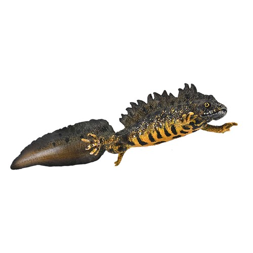 Collecta great crested newt - collecta,