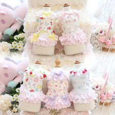 Carino cane animale domestico gatto vestiti cani piccoli vestito estivo maltese Yorkshire gonna gilet