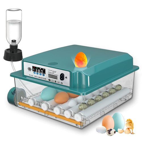 Incubatrice per uova - incubatrice,