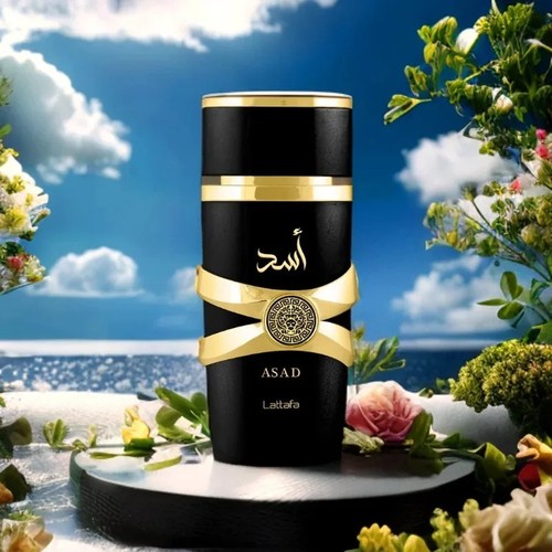 Lattafa asad 100ml edp - lattafa, uomo