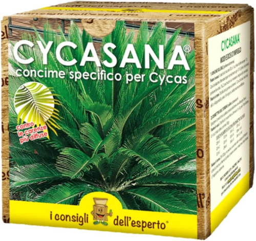 Consigli dell esperto - i, dell’esperto