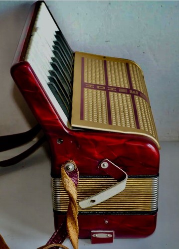 Fisarmonica picoletta basso