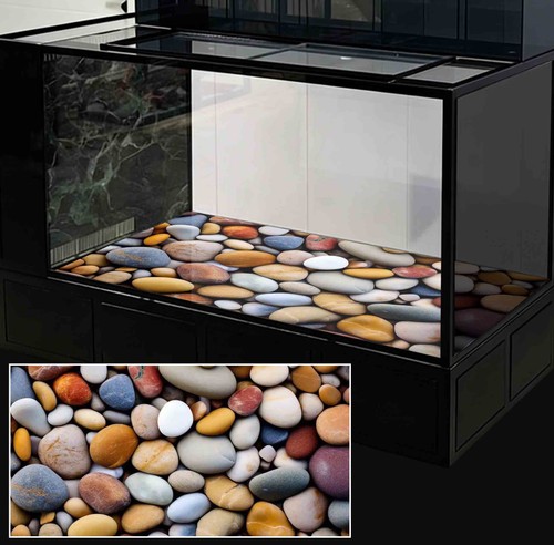 Adesivo sfondo acquario pesci