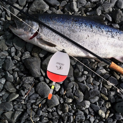 Pcs galleggianti pesca - galleggianti, da