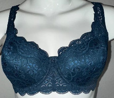 Triumph Amourette 300 WHP