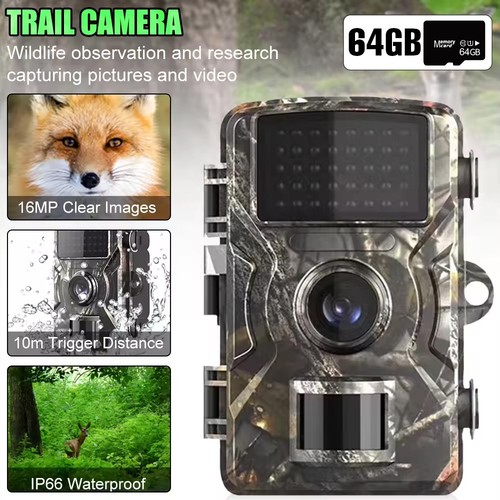Telecamera wildlife hunting - wildlife,