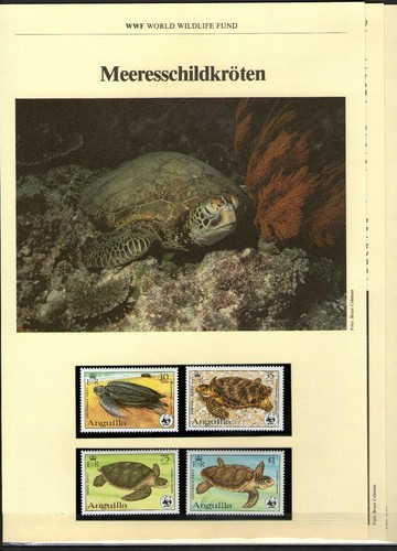 Wwf 1983 anguilla tartarughe - 1983,