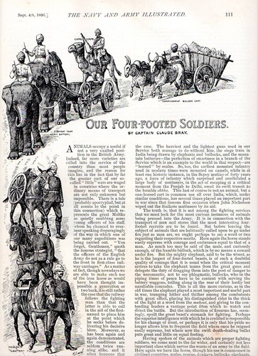 1896 articolo animali - ~,