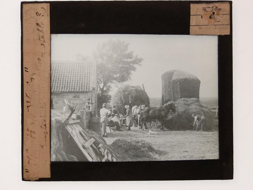 Hay harvest farm workers horse - harvest,