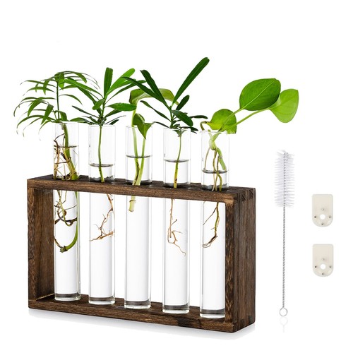 Glasseam vaso interno - vaso,