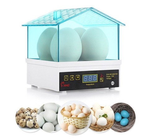 Mini incubatrice pollo anatra - mini,