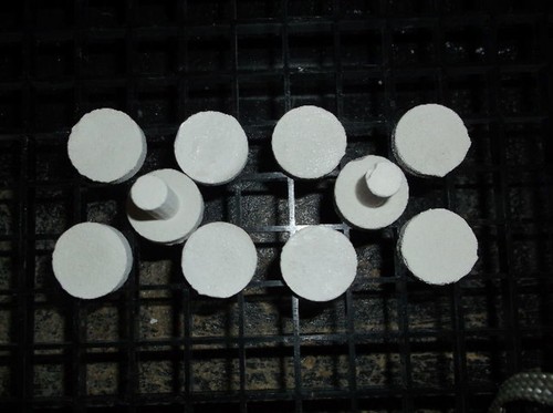 Spina frag corallo - spina, 7/8"