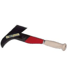 RONCOLA PENNATA RIETI 256