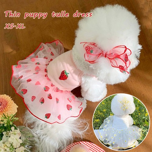 Vestito pet sottile - pet,
