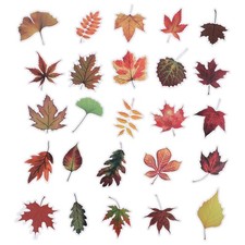 200 pcs decorazioni - 200,