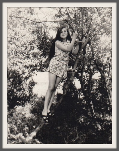 Bella giovane donna ragazza