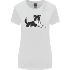 Un Border Collie Cane Sdraiato