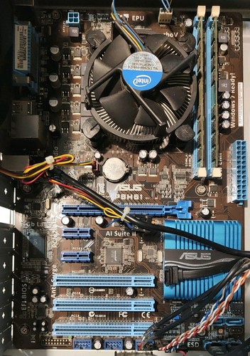 Scheda madre asus - madre, cpu