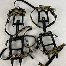 Ramponi Charlet Moser - Punte