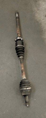51947833 semialbero ant - 51947833,