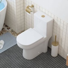 HOROW One Piece WC Gold