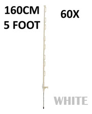 60 x 5 piedi (160 cm)
