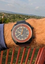 RARO Citizen Alarm Date V2