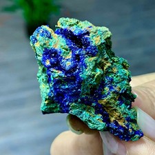 51G MIGLIORI esemplari di