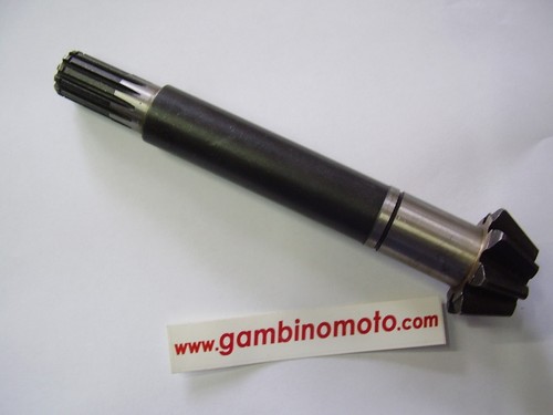 Pignone coppia conica - coppia,