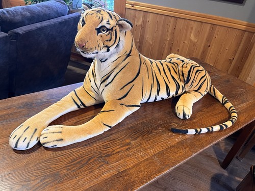 Huge feet bengal - 6,