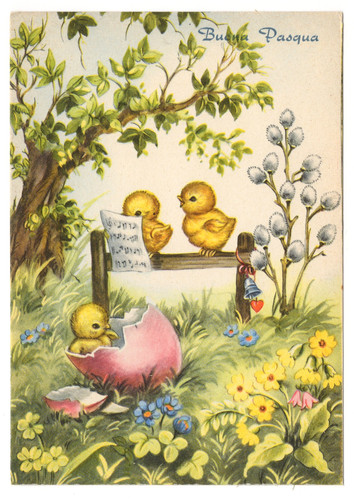 Buona pasqua pulcini e uovo - pasqua,