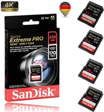 Scheda di memoria SanDisk