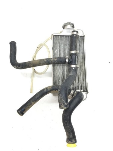 Radiatore acqua destro suzuki - radiatore,
