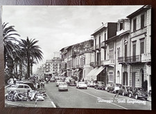 Cartolina Viareggio Viali
