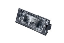 Luce targa originale Dacia