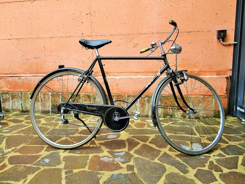 Bicicletta bici umberto - bicicletta,