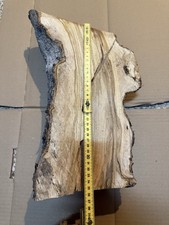 tronco Di ulivo Pezzo Bellissimo Per Lavorazioni In Legno